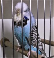 DSCF5812.JPG